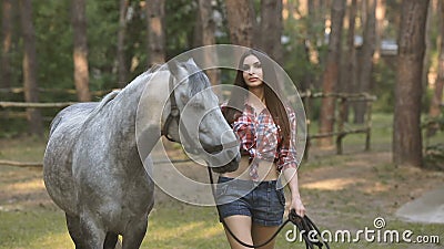 Woman and Horse. Casual Style Stock Video - Video of activity, beauty:  79703637