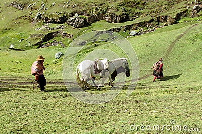 Woman with a horse in the countryside in Peru Editorial Stock Photo