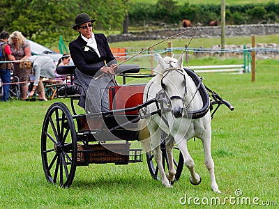 Woman horse driving Editorial Stock Photo