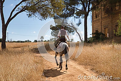 Woman horsewoman, young and beautiful, running at a trot with her horse, on a path with pine trees in the countryside. Concept Stock Photo