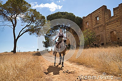 Woman horsewoman, young and beautiful, running at a trot with her horse, on a path with pine trees in the countryside. Concept Stock Photo