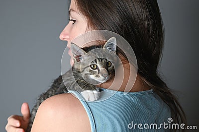 Woman hugging her kitten. Striped kitten lies on on the shoulder of a woman on gray background. Stock Photo