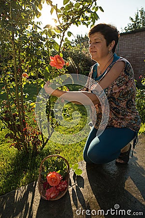 Middle-aged woman and a rose. The woman inhales the aroma of the rose at sunset. The rose shines at sunset Stock Photo