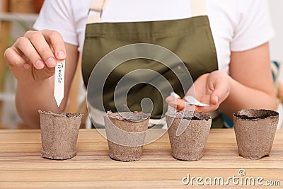 Woman inserting cards with names of vegetable seeds into peat pots at table, closeup Stock Photo