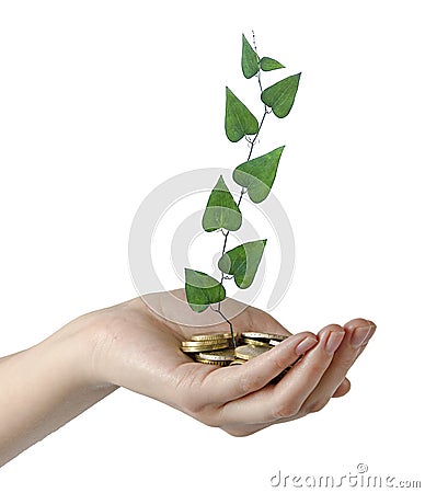 investing money in environment Stock Photo