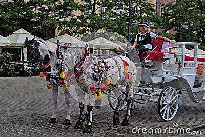 Woman inviting to take tour on horse-drawn carriage. Editorial Stock Photo