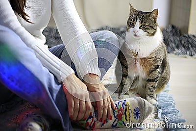 Woman in jeans sits on floor wit legs crossed and hands above. No face. Cat near pwner. Pet at home. Animals in everyday Stock Photo