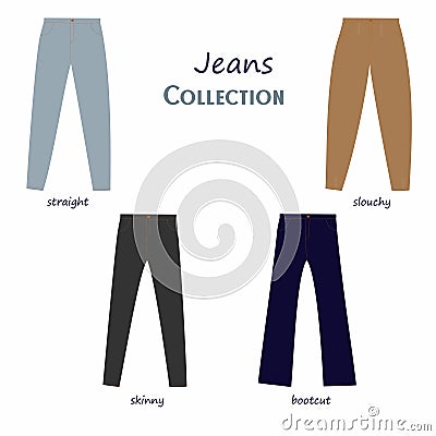 Woman jeans types set. Jeans collection Vector Illustration