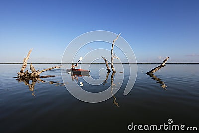 Woman kayaking on West Lake in Everglades National Park, Florida. Editorial Stock Photo