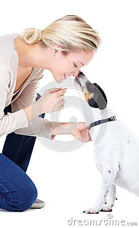 Woman, kiss and studio with jack russell dog for adoption, learning or care by white background. Girl, animal or pet Stock Photo