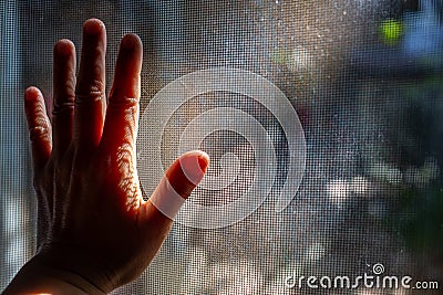 Woman left hand touching dust Dirty mosquito wire screen window, Light & Shadow shot, Silhouette, Close up shot Stock Photo