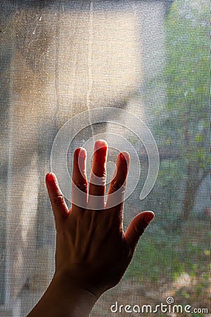 Woman left hand touching dust Dirty mosquito wire screen window, Light & Shadow shot, Silhouette, Close up shot Stock Photo