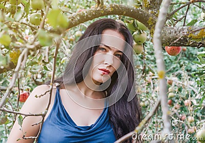 Woman in a light summer dress framed by twigs of apple trees in Stock Photo