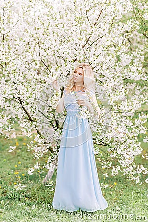 Woman in a long blue dress in a spring garden. Tender photo with white flowers Stock Photo