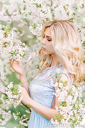 Woman in a long blue dress in a spring garden. Tender photo with white flowers Stock Photo