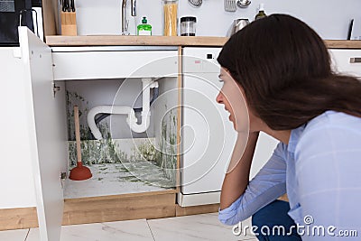 Woman Looking At Mold In Cabinet Area Stock Photo