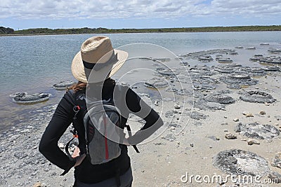 Woman looking at Stromatolites in Lake Thetis Cervantes Western Australia Stock Photo