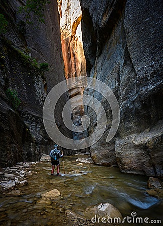 Woman Looks Up to Sunlight Trying to Break Into The Narrows Stock Photo