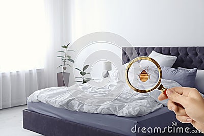 Woman with magnifying glass detecting bed bug Stock Photo