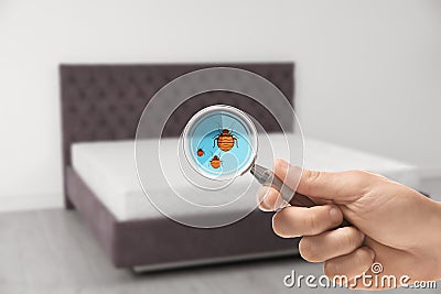 Woman with magnifying glass detecting bed bugs on mattress Stock Photo