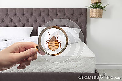 Woman with magnifying glass detecting bed bugs on mattress Stock Photo