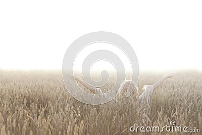 Woman makes meditation in the middle of nature Stock Photo