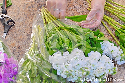 Woman making bouquet of spring mattiola flowers Stock Photo