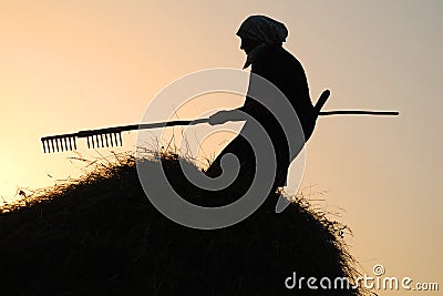 Woman making hay Stock Photo