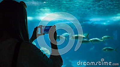 A woman making photo of the fish under water Stock Photo