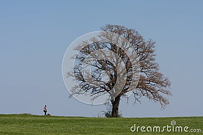 Walking and running Editorial Stock Photo