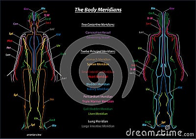 Woman Meridian System Description Chart Black Vector Illustration