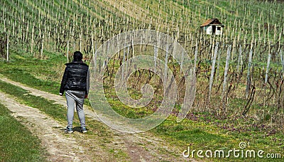 Woman on Path to Vineyards Stock Photo