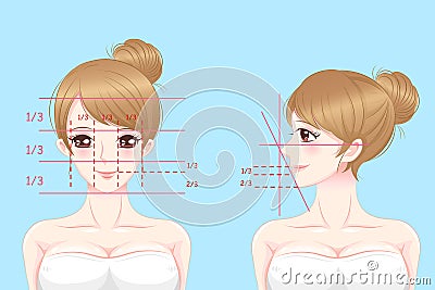 Woman with perfect face proportions Vector Illustration