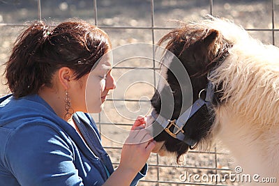 Woman Petting a Miniature Horse Stock Photo