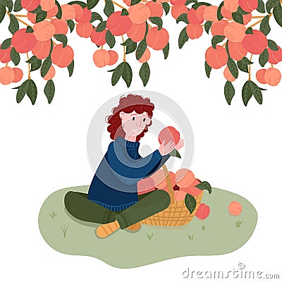 Woman pick fruits in basket. Gardener pluck peach in garden. Girl sit under peach tree. Organic local harvest. Girl is in Garden Vector Illustration