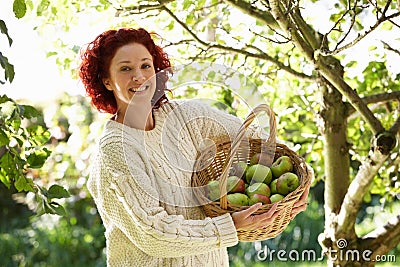 Woman picking apples in garden Stock Photo