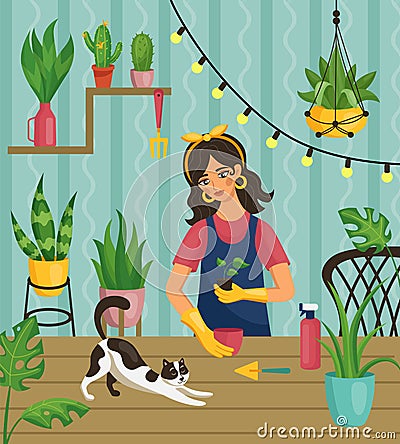 Woman in plant garden. Female takes care of houseplants. Ficuses in pots on table or shelves. Crazy lady planter growing Vector Illustration
