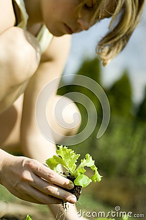 Woman planting seedling Stock Photo