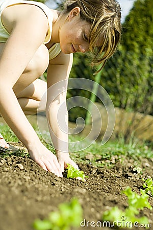 Woman planting seedlings Stock Photo