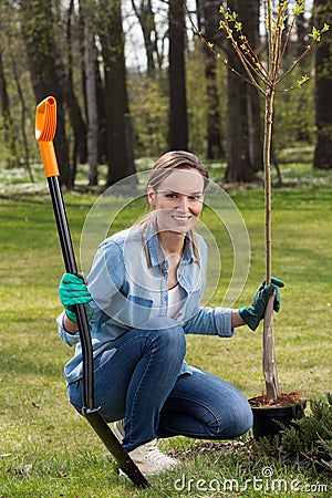 Woman planting young tree Stock Photo