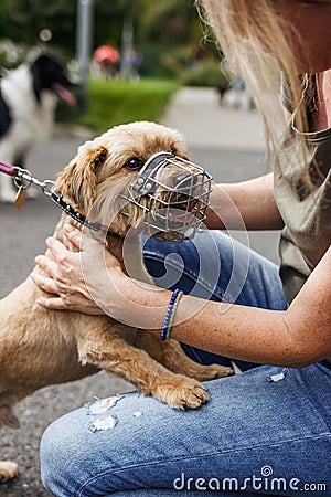 Woman playing with cute terrier at street Stock Photo
