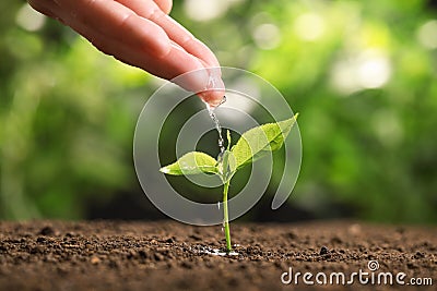 Woman pouring water on young seedling in soil against blurred background Stock Photo