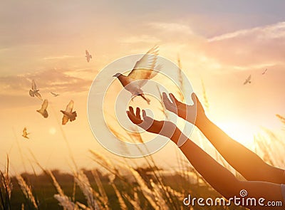 Woman praying and free bird enjoy nature on sunset background Stock Photo