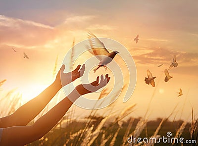 Woman praying and free bird enjoying nature on sunset background Stock Photo