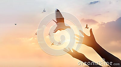 Woman praying and free the birds flying on sunset background Stock Photo