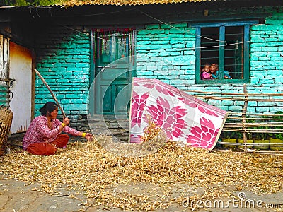 Woman is processing beans in Himalayas Mountains Annapurna trek Editorial Stock Photo