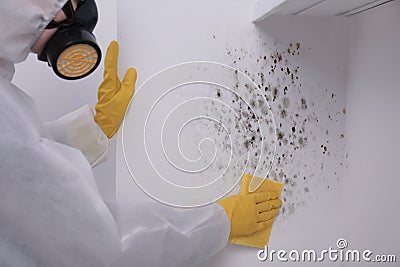 Woman in protective suit and rubber gloves removing mold from wall with rag, closeup Stock Photo