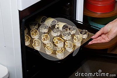 A woman puts curlicues stuffed with poppy and walnuts in the oven. For baking Stock Photo