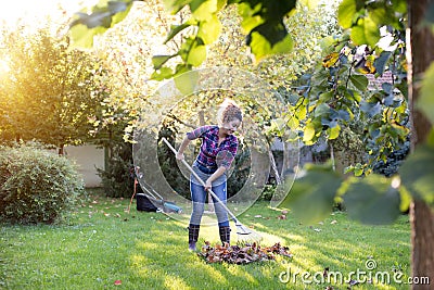 Woman raking leaves on lawn Stock Photo