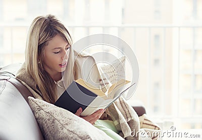 Woman reading book Stock Photo